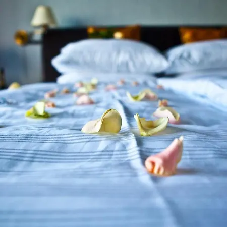 Shuma Hotel Dabrowa Gornicza