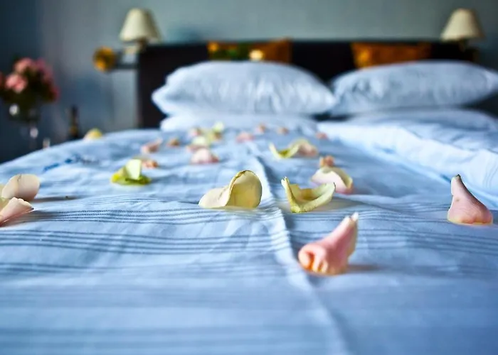 Shuma Hotel Dabrowa Gornicza